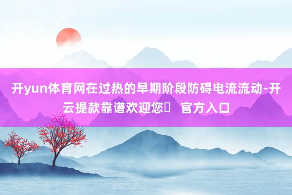 开yun体育网在过热的早期阶段防碍电流流动-开云提款靠谱欢迎您✅ 官方入口