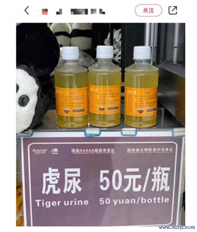 民众称虎尿不是中药莫得诊治作用 动物园50元一瓶售卖引争议