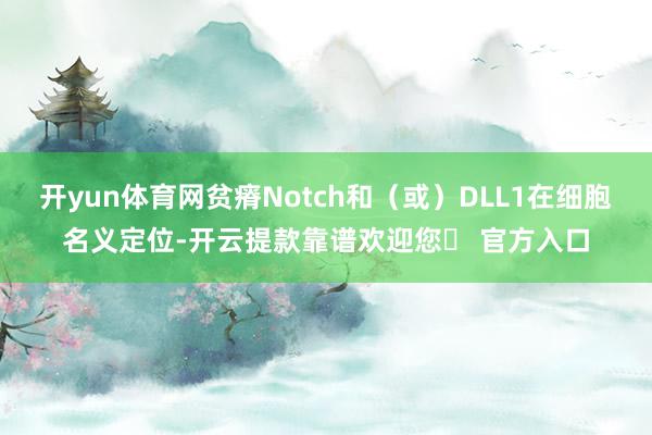 开yun体育网贫瘠Notch和（或）DLL1在细胞名义定位-开云提款靠谱欢迎您✅ 官方入口
